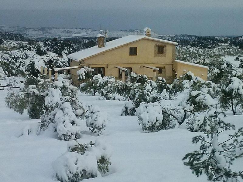 Mas Arboretum Βίλα La Pobla de Cervoles Εξωτερικό φωτογραφία